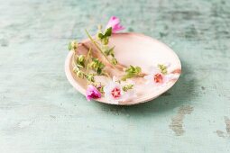Edible mallow flowers on plate