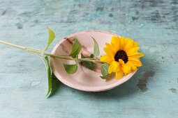 Edible sunflower on plate