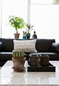 Cactus on white marble table top in front of black leather couch