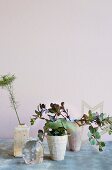 Arrangement of succulents in ceramic pots