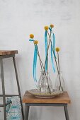 Craspedia and blue ribbons in glass vases on vintage stool