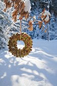 Moss and beechnut wreath hung from oak branch in winter woodland