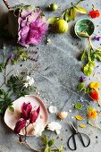Rahmen aus dekorativen Blumen, Blüten, Früchten und Gemüse