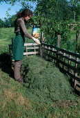 Building a compost ,: Apply compost accelerator