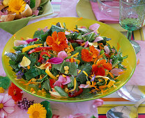 Edible flowers, salad with Tropaeolum (nasturtium)