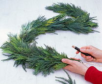 Coniferous garland at the window