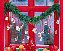 Coniferous garland at the window