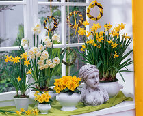 Narcissus 'Tete a Tete' 'Bridal Crown', Primula acaulis