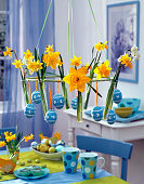 Hängende Tischdeko mit verschiedenen Narcissus (Narzissen) in Reagenzgläsern