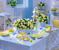 Tischdekoration mit Primula Belarina 'Cream' (gefüllte Primeln)