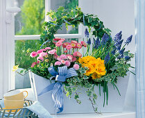 Plant wooden box with Bellis, Primula and Muscari