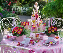Easter table on the terrace with primula