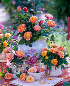 Rose (pot roses), salmon orange, in different porcelain containers