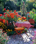 Terrassenbeet mit Dahlia (Dahlien), Gladiolus (Gladiolen)
