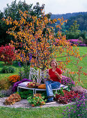 Young woman on white metal bench in front of malus in autumn color