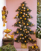 Christmas tree with pseudotsuga (Douglas fir) on the wall