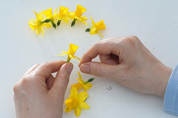 Napkin rings from narcissus flowers