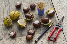 Make chestnut animals