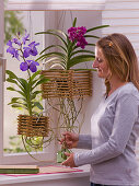 Vanda orchids in home-made bamboo basket