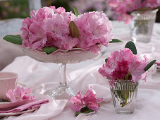 Table decoration with rhododendron