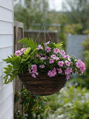 Hanging basket for the shadow