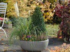 Plant an autumnal bowl with pampas grass and a book