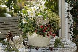 Winterliche Schale mit Helleborus (Christrose), Gaultheria (Scheinbeere)