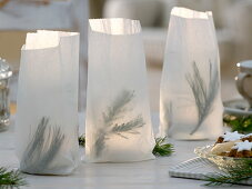 Lanterns with bsandwish bags and coniferous branches