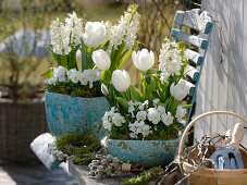 Tulipa 'Mondial' (tulips), Hyacinthus 'White Pearl' (hyacinths), Viola corn