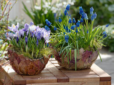 Leaf cup with chicken wire homemade spring aspect