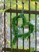 Small heart of grass hanged on rusty fence