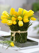 Tulip bouquet in vase with blueberry branches