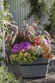 Plant wooden tubs in the autumn with grass and asters