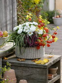 White basket with autumn planting