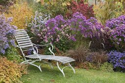 Lie on the autumnal bed with asters and grasses