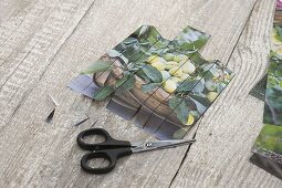 Making seed bags from calendar sheets yourself