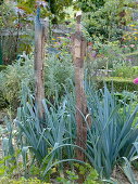 Art garden, art objects in the vegetable patch
