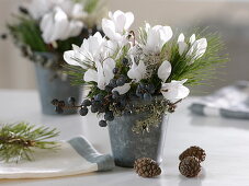 Bouquets of cyclamen, pinus, black dates