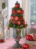 Apple cone on gray spindle vase