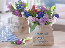 Colorful mixed bouquets of Hyacinthus (hyacinth) in paper bags