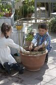 Children sowing fire beans in terracotta tubs