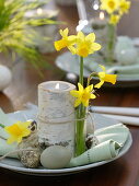 Table decoration with wheatgrass, daffodil and birch