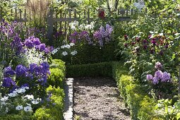 Farm garden with flowering perennials and summer flowers