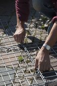 Assemble and fill the gabions yourself