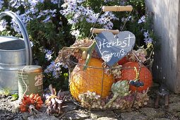 Autumnal harvest basket with pumpkins, artichoke