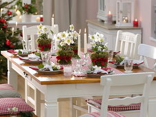 Christmas table decoration with Helleborus niger (Christmas rose)