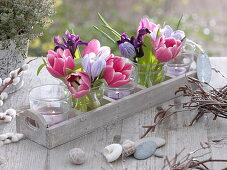 Small bouquets of tulipa, crocus and iris reticulata