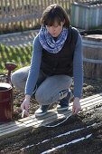 Frau legt Saatbänder mit Gemüse-Samen in die Erde