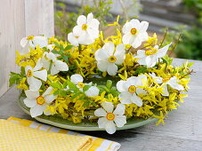 White-yellow spring wreath with Narcissus poeticus