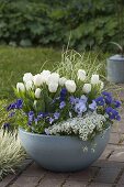 Blue-white planted spring bowl